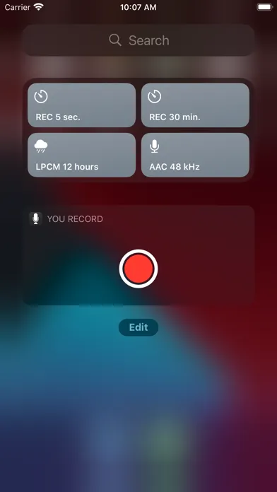 تصاویر You Record Pro